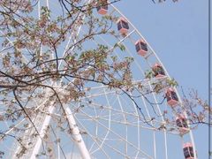 -美兰湖景区