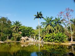 -中国科学院西双版纳热带植物园