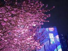 -西安创业咖啡街区