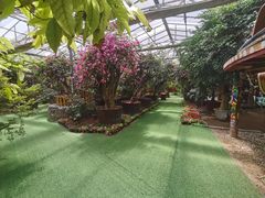 -呀路古热带植物园