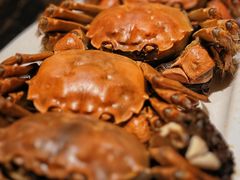 -金陵饭店-56JIA Restaurant家餐厅