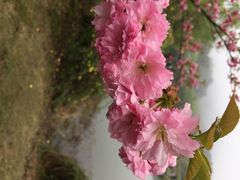 溪口风景区-溪口-滕头旅游景区