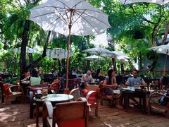 -Fern Forest Cafe