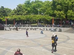 -双拥公园