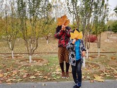 -永定河休闲森林公园