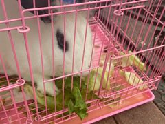 -大象厨房(重庆道店)