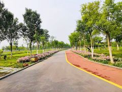 -天津东丽湖风景区