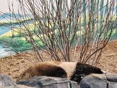 -秦皇岛野生动物园
