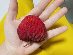 -大润发(康桥店)