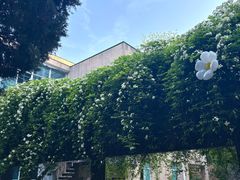 -四川大学(望江校区)