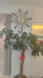 -奥丽维娅美容养生会所