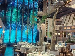 -桂满陇·海市蜃楼·黑金(国金店)