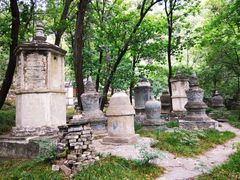 -北京上方山国家森林公园