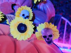 -七彩云南欢乐世界