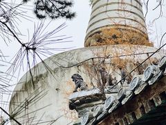 -潭柘寺景区