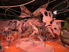 -正佳自然科学博物馆