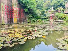 -广州莲花山旅游区