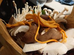 -掂档潮汕牛肉火锅(沈阳万象城店)