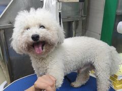 -瑞派动物医院·猫专科·至诚(江南中分院)