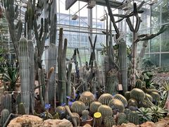 -国家植物园南园