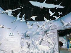 -中国湿地博物馆