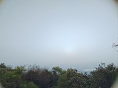 -梧桐山风景名胜区