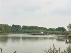 景点-东郊湿地公园