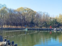 -大兴滨河森林公园