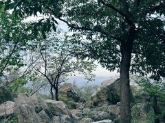 -阳台山自然风景区