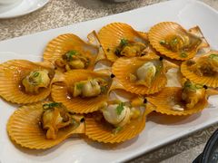 清蒸鲜扇贝-麒麟中餐厅·经典粤菜·地道菜式老字号(广州长隆酒店)