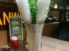 -探窝·竹笙椰子鸡(杨箕店)