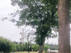 -武汉紫薇都市田园