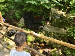 -天女山森林公园