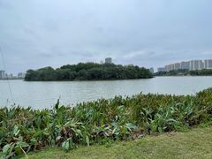 -飞来湖湿地公园