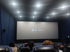 -中影国际影城(神农万达广场CINITY店)