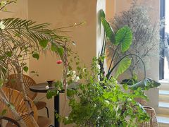 -HUATA 'Holiday Plan 花榻