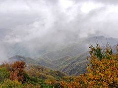 -大岭沟猕猴桃谷风景区