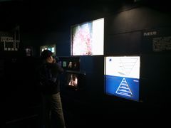 -同济大学四平路校区深海探索馆