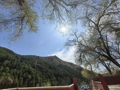 -潭柘寺景区