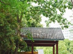 -沙河三洞古桥公园