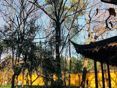 -西园戒幢律寺
