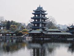 -桂湖森林公园
