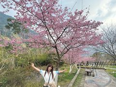 -优游吧斯邹族文化部落