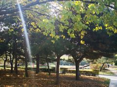 -长春公园(普阳街道)