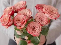 -Oasis Beauty水磨坊科技美肤中心