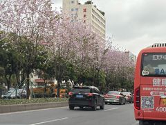 -粥旺庄(芳村店)