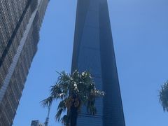 -上海中心大厦