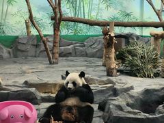 -秦皇岛野生动物园