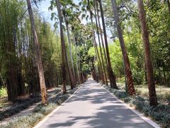 -中国科学院西双版纳热带植物园