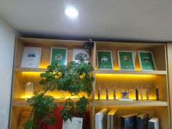 -章光101防脱养发荟